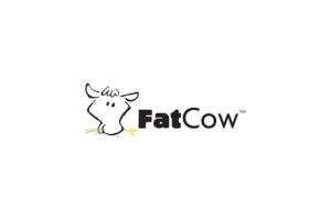 fatcow-coupon-promo-code fatcow-coupon-promo-code