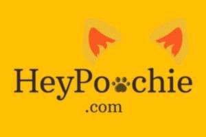 heypoochie-coupon-promo-code heypoochie-coupon-promo-code