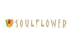 soulflower-coupon-promo-code soulflower-coupon-promo-code