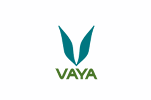 vaya-coupon-promo-code vaya-coupon-promo-code