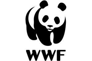 wwfindia-coupon-promo-code wwfindia-coupon-promo-code